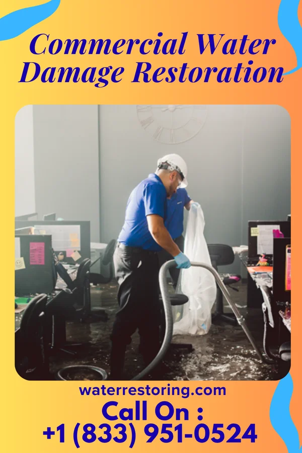 Commercial Water Damage Restoration in Evergreen, MT